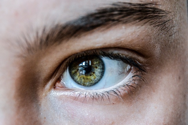 Sådan finder du den perfekte øjenbrynsfarve til din hudtone